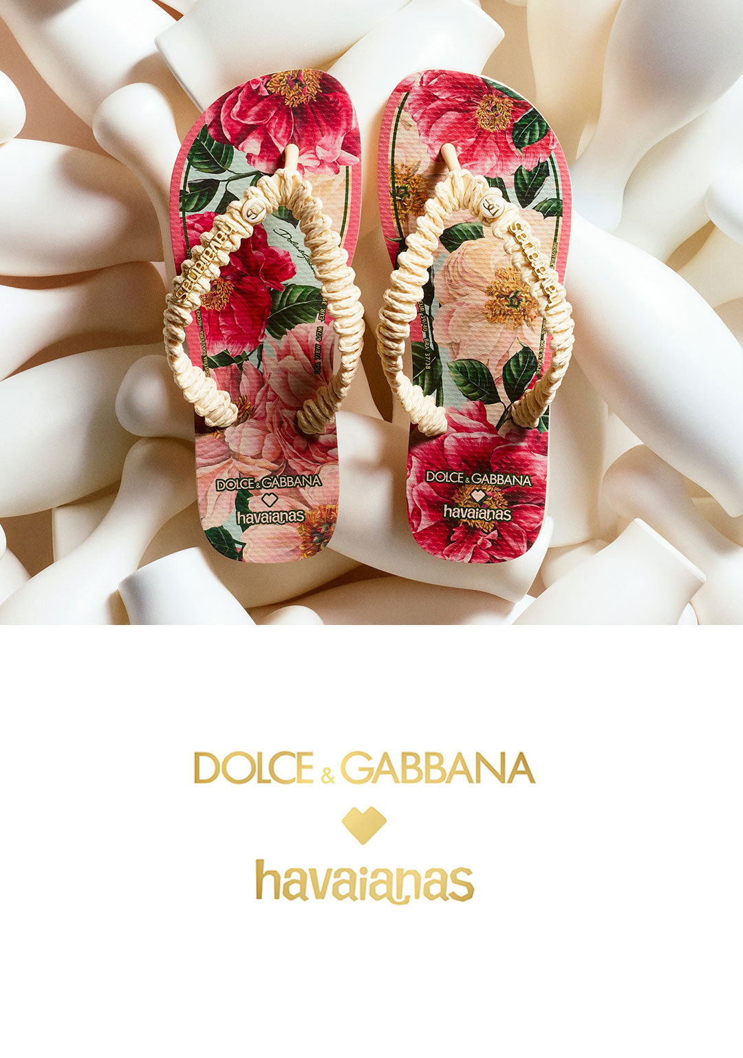 havaianas x dolce & gabbana latest drop