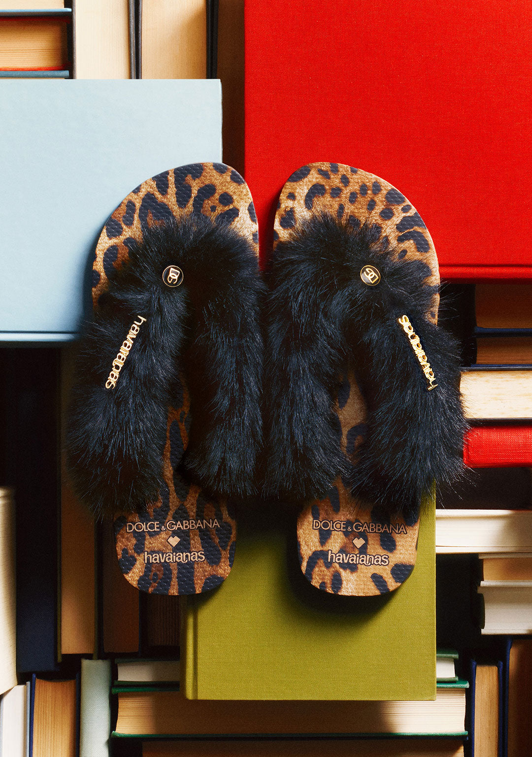 havaianas x Dolce & Gabbana