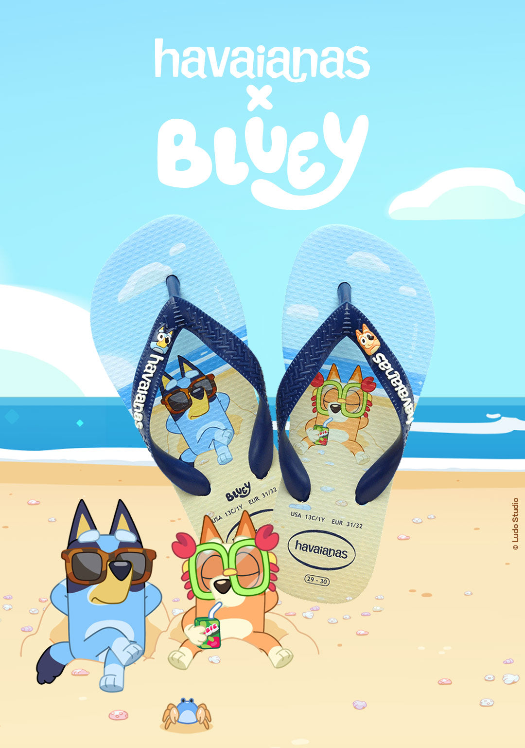 havaianas x Bluey