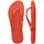 Frevo Red