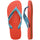 Frevo Red/Blue