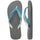 Steel Grey/Blue