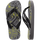 Grey Steel