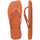 Cerrado Orange