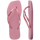 Rose Chiffon