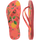 Tropical Coral