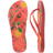 Tropical Coral