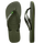 Green Olive