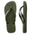 Green Olive