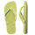 Matcha Green