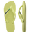 Matcha Green