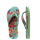 Citronela