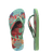 Citronela