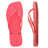 Tropical Coral