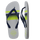 Grey/Navy