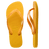 Top Thongs Colour - Havaianas Australia